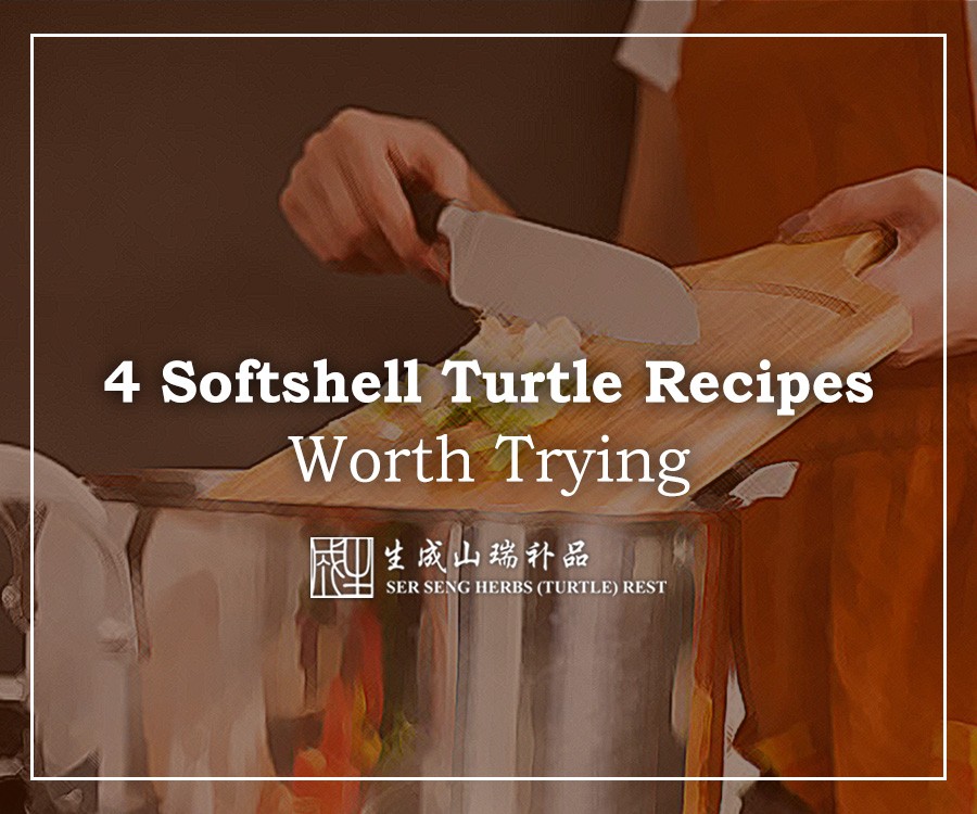 How To Cook Soft Shell Turtle 