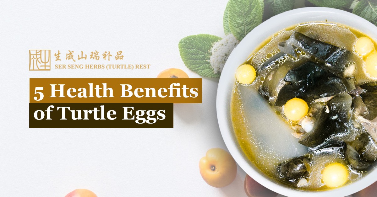 5 Health Benefits of Turtle Eggs Ser Seng Herbs Turtle Restaurant