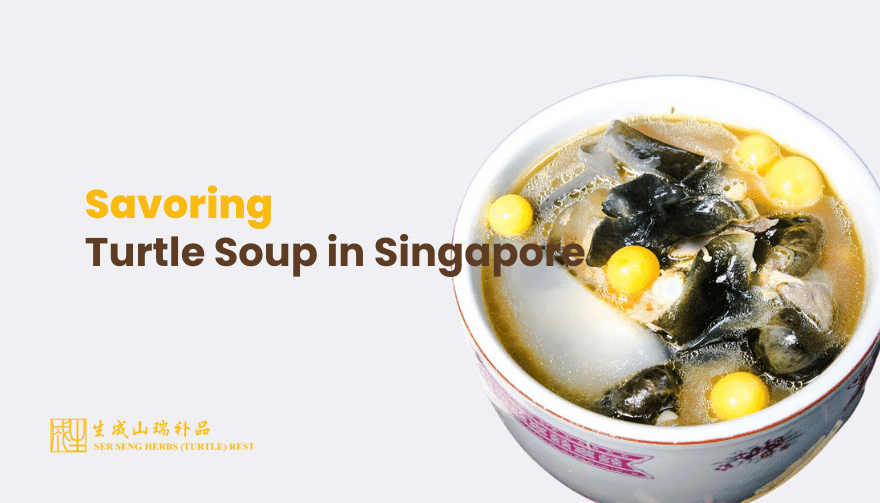 savouring-turtle-soup-in-singapore-ser-seng-herbs-turtle-restaurant