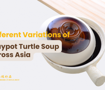 picture showing chinese traditional claypot used for preparing claypot turtle soup