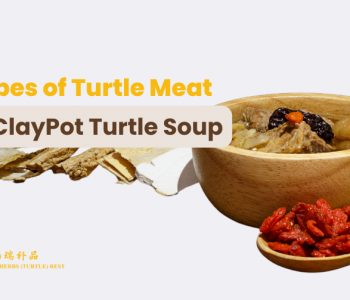 chinese herbals found in turtle soup in singapore