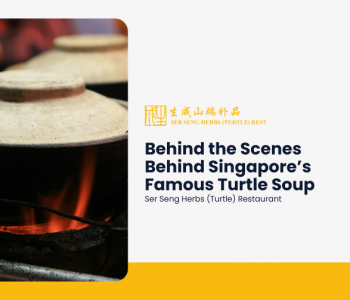 cooking turtle soup in singapore