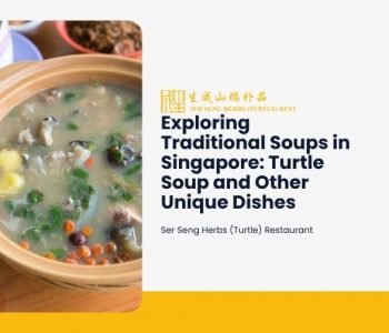 turtle soup