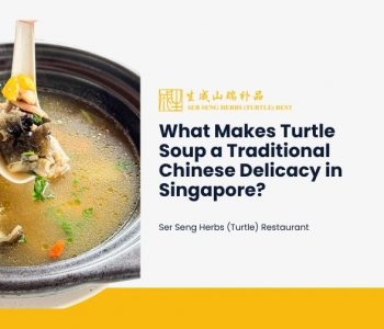 turtle soup