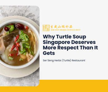 Illustrated blog cover for 'Why Turtle Soup Singapore Deserves More Respect Than It Gets'