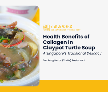 A spoon scooping collagen-rich meat from a dish of claypot turtle soup, featured in a blog graphic for Ser Seng Herbs Turtle Restaurant about its health benefits and traditional delicacy in Singapore.