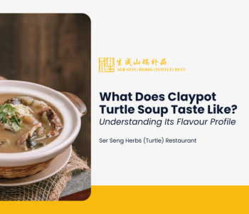 A traditional claypot turtle soup served hot in an earthenware pot, illustrating a blog cover about understanding the rich flavor profile of claypot turtle soup by Ser Seng Herbs Turtle Restaurant.