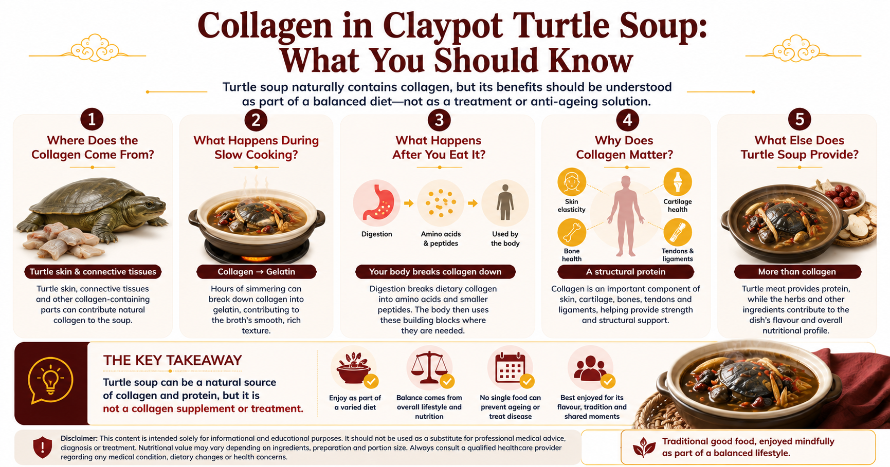 Infographic explaining collagen in claypot turtle soup, including its natural sources in turtle tissues, conversion to gelatin during slow cooking, digestion into amino acids and peptides, and role as part of a balanced diet.