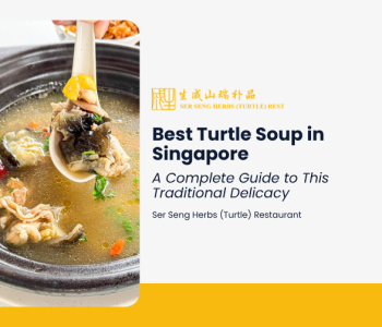 Bowl of traditional turtle soup in Singapore, served in a black claypot with tender turtle meat, Chinese herbs, goji berries and a rich broth.