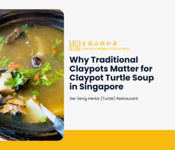 Claypot turtle soup served hot in a traditional black claypot, featuring tender turtle meat, Chinese herbs and a rich broth in Singapore.