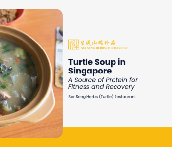 Turtle soup in Singapore – a blog cover featuring a bowl of soup at Ser Seng Herbs (Turtle) Restaurant.